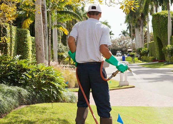 About Side Lake MN Pest Control